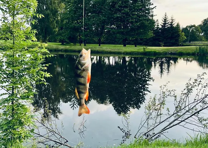 Guest house Agro Tour 3*